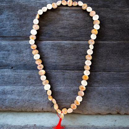 Gomati Chakra Mala 54+1 Beads (THIS PRODUCT AVAILABLE ONLY INSIDE INDIA)